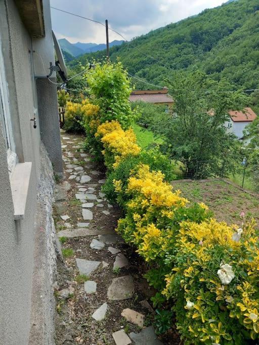 Il Non Ti Scordar Di Me Villa Valbravenna Luaran gambar