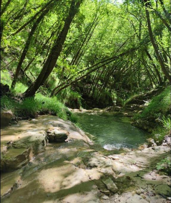 Il Non Ti Scordar Di Me Villa Valbravenna Luaran gambar