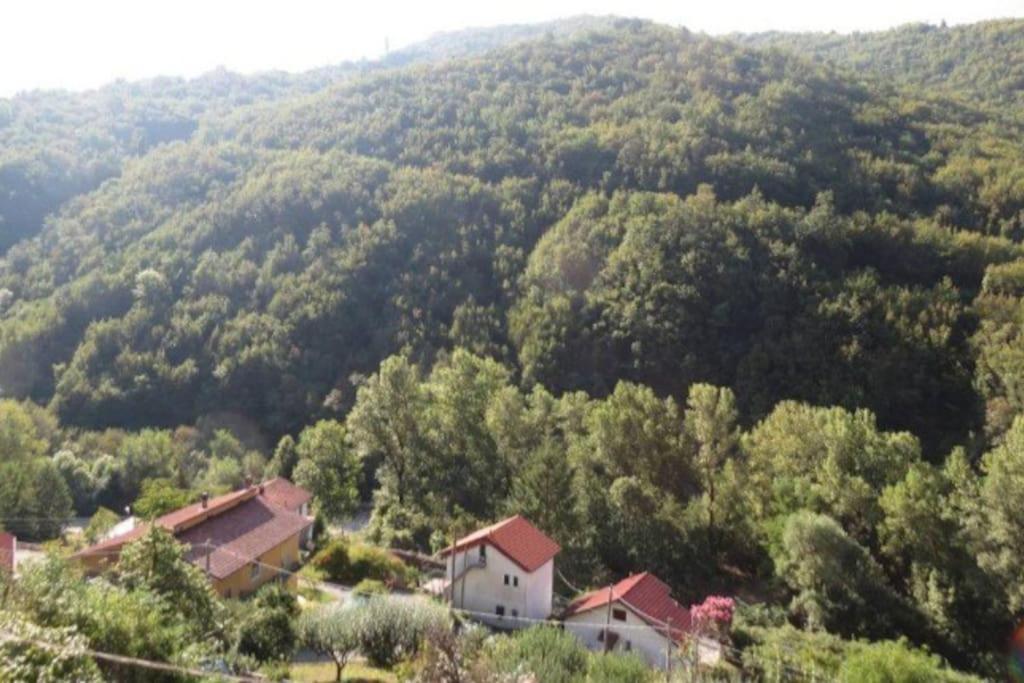 Il Non Ti Scordar Di Me Villa Valbravenna Luaran gambar